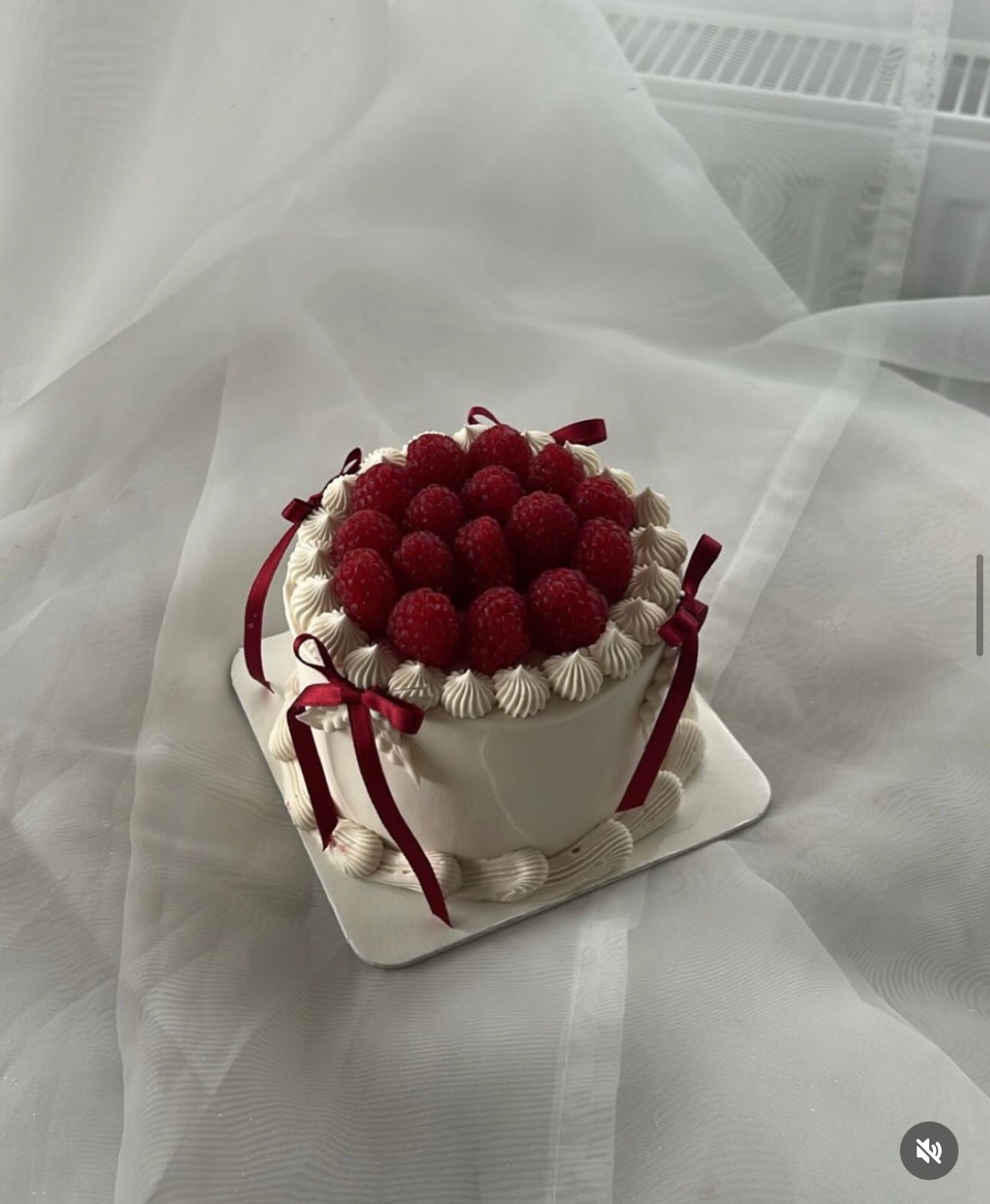 Framboise Cake